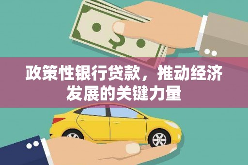 阳谷政策性银行贷款，推动经济发展的关键力量