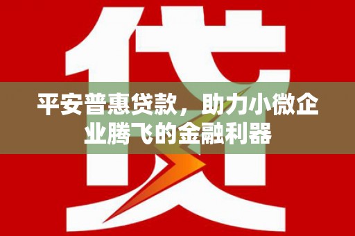 阳谷平安普惠贷款，助力小微企业腾飞的金融利器