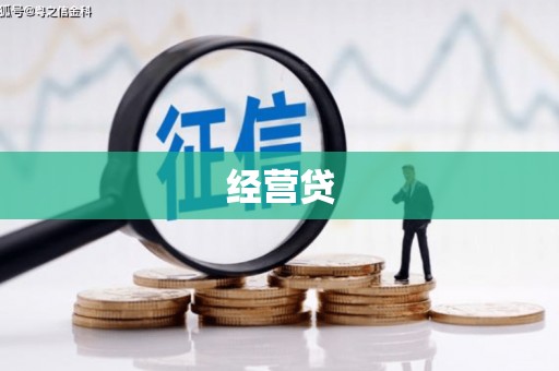 阳谷经营贷