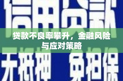 阳谷贷款不良率攀升，金融风险与应对策略