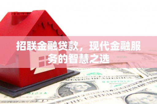 阳谷招联金融贷款，现代金融服务的智慧之选