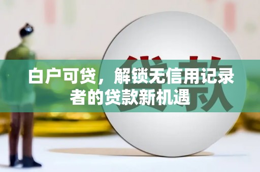 阳谷白户可贷，解锁无信用记录者的贷款新机遇