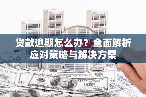 阳谷贷款逾期怎么办？全面解析应对策略与解决方案