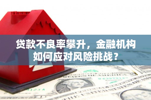 阳谷贷款不良率攀升，金融机构如何应对风险挑战？