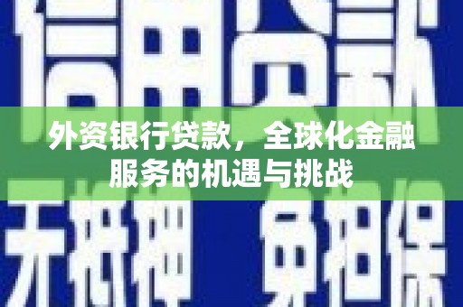 阳谷外资银行贷款，全球化金融服务的机遇与挑战