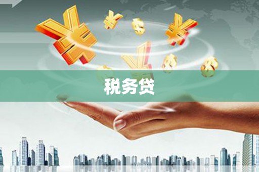 阳谷税务贷