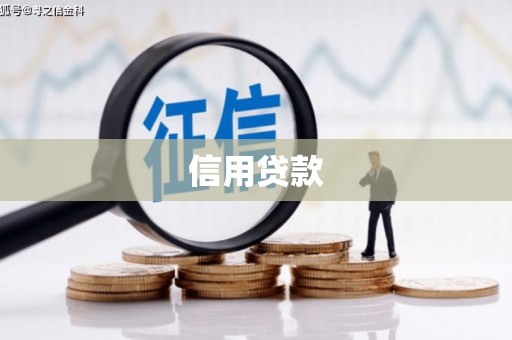 阳谷信用贷款