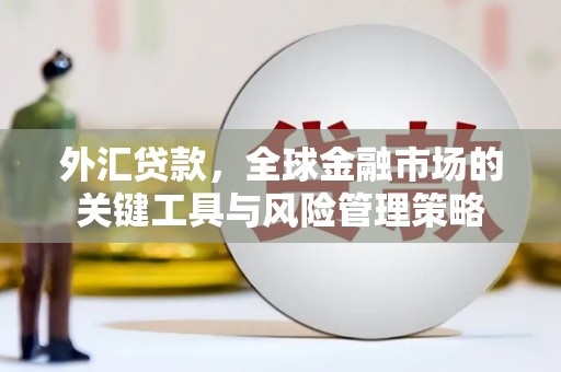 阳谷外汇贷款，全球金融市场的关键工具与风险管理策略