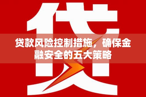 阳谷贷款风险控制措施，确保金融安全的五大策略