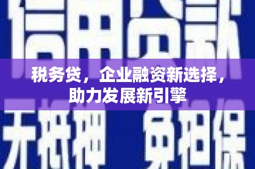 阳谷税务贷，企业融资新选择，助力发展新引擎