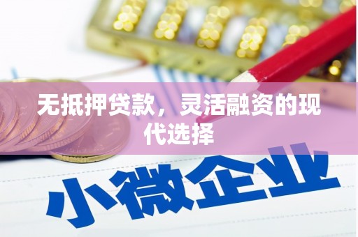 阳谷无抵押贷款，灵活融资的现代选择