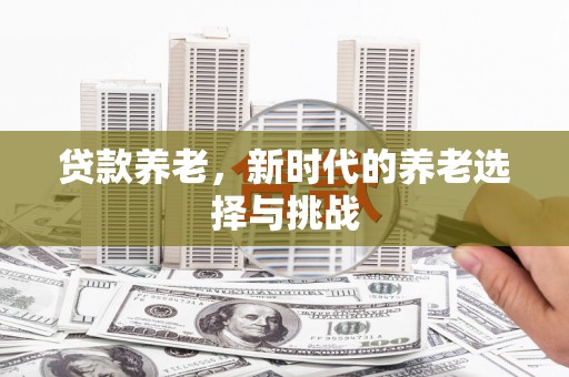 阳谷贷款养老，新时代的养老选择与挑战