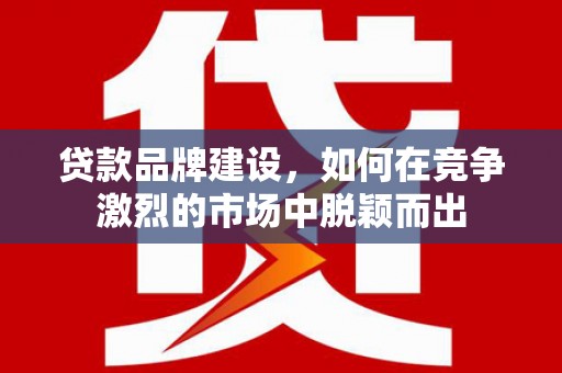 阳谷贷款品牌建设，如何在竞争激烈的市场中脱颖而出