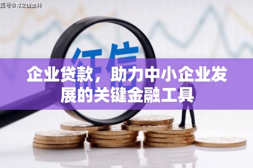 阳谷企业贷款，助力中小企业发展的关键金融工具