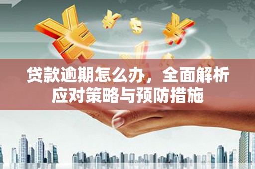 阳谷贷款逾期怎么办，全面解析应对策略与预防措施