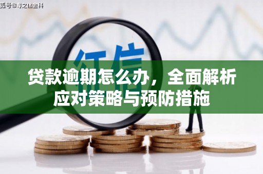 阳谷贷款逾期怎么办，全面解析应对策略与预防措施