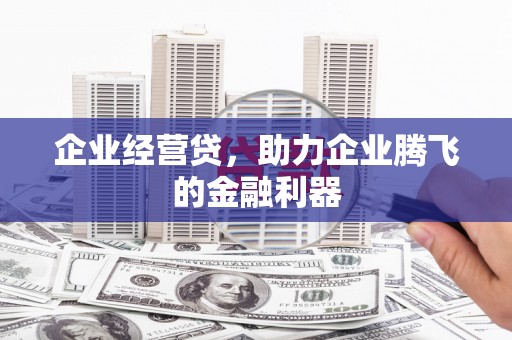 阳谷企业经营贷，助力企业腾飞的金融利器