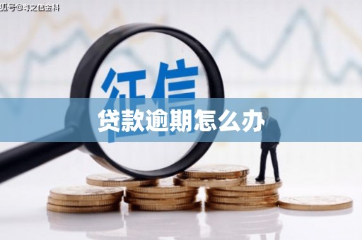 阳谷贷款逾期怎么办