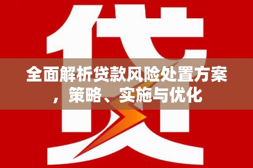 阳谷全面解析贷款风险处置方案，策略、实施与优化