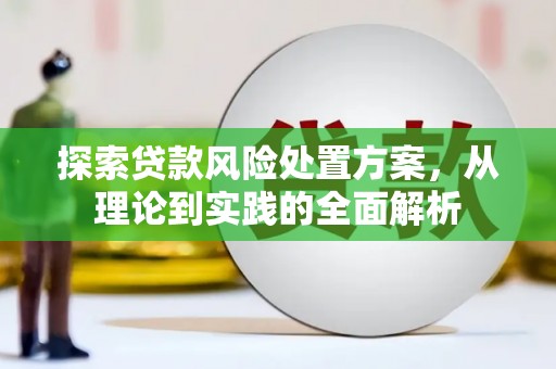 阳谷探索贷款风险处置方案，从理论到实践的全面解析