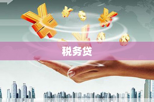 阳谷税务贷