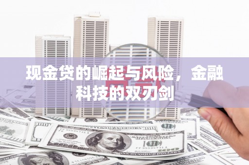 阳谷现金贷的崛起与风险，金融科技的双刃剑
