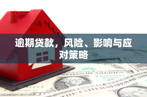 阳谷逾期贷款，风险、影响与应对策略