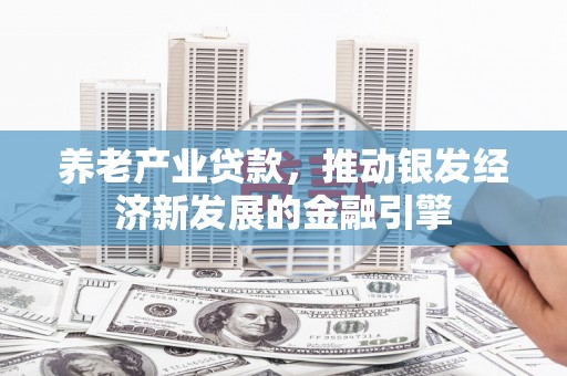 阳谷养老产业贷款，推动银发经济新发展的金融引擎