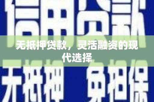 阳谷无抵押贷款，灵活融资的现代选择