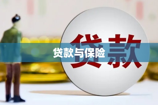 阳谷贷款与保险