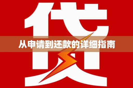 阳谷从申请到还款的详细指南