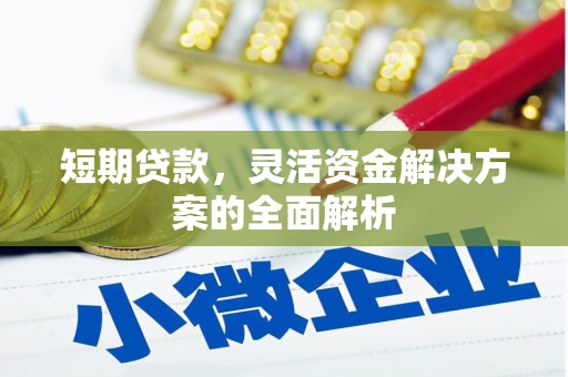 阳谷短期贷款，灵活资金解决方案的全面解析