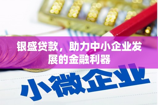 阳谷银盛贷款，助力中小企业发展的金融利器