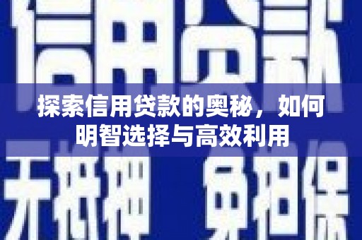 阳谷探索信用贷款的奥秘，如何明智选择与高效利用