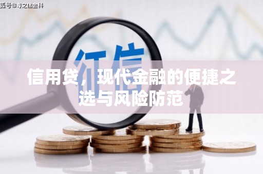 阳谷信用贷，现代金融的便捷之选与风险防范