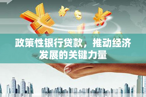 阳谷政策性银行贷款，推动经济发展的关键力量