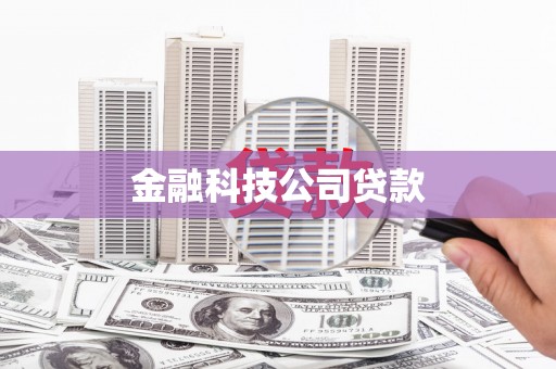 阳谷金融科技公司贷款
