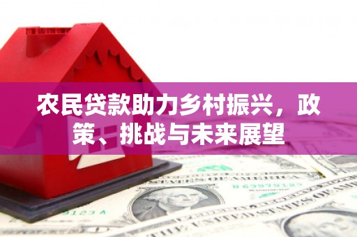 阳谷农民贷款助力乡村振兴，政策、挑战与未来展望
