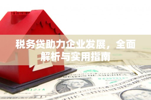 阳谷税务贷助力企业发展，全面解析与实用指南