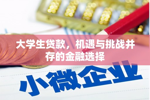 阳谷大学生贷款，机遇与挑战并存的金融选择