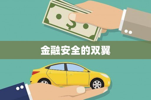 阳谷金融安全的双翼