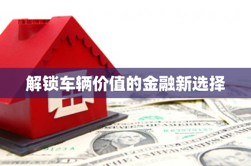 阳谷解锁车辆价值的金融新选择