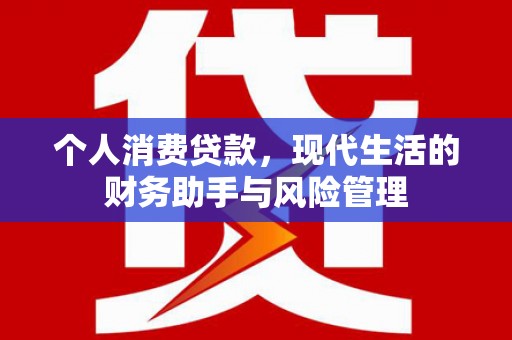 阳谷个人消费贷款，现代生活的财务助手与风险管理