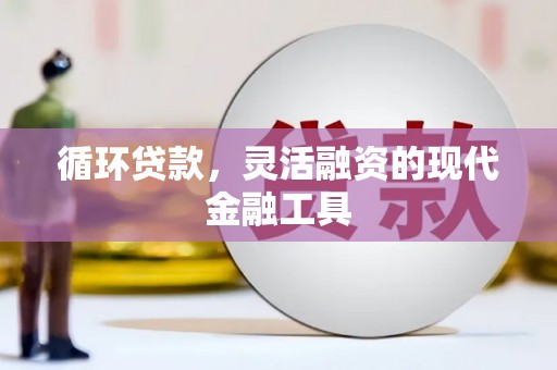 阳谷循环贷款，灵活融资的现代金融工具