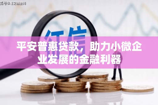 阳谷平安普惠贷款，助力小微企业发展的金融利器