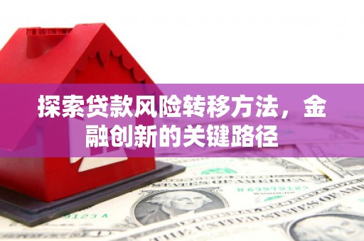 阳谷探索贷款风险转移方法，金融创新的关键路径
