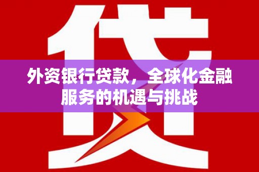 阳谷外资银行贷款，全球化金融服务的机遇与挑战
