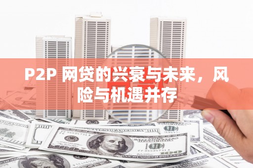 阳谷P2P 网贷的兴衰与未来，风险与机遇并存