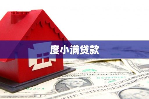 阳谷度小满贷款