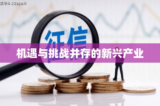 阳谷机遇与挑战并存的新兴产业